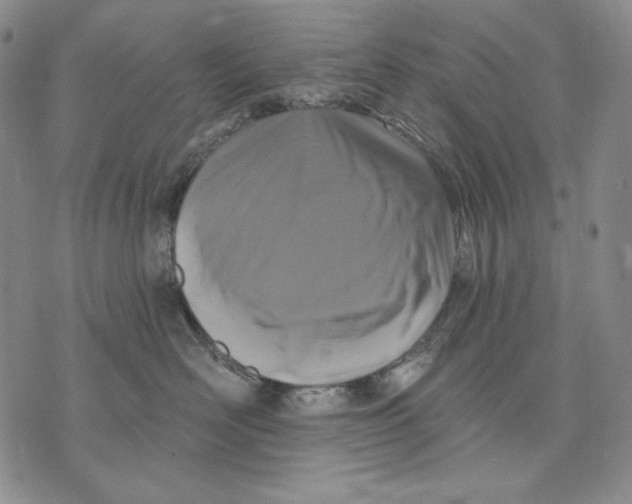 X0000072490526200608041419