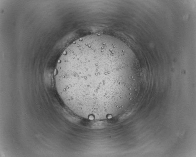 X0000072490527200608041419