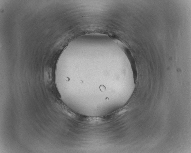 X0000072490528200608041419