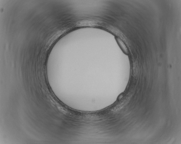 X0000072490529200608041418