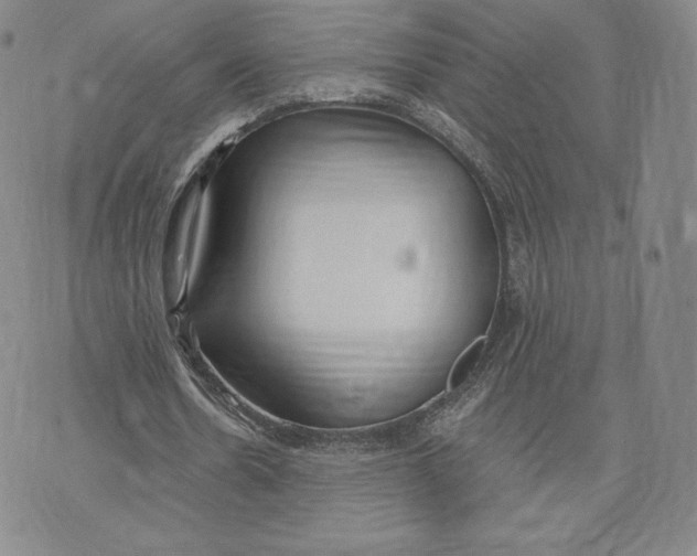 X0000072490530200608041418