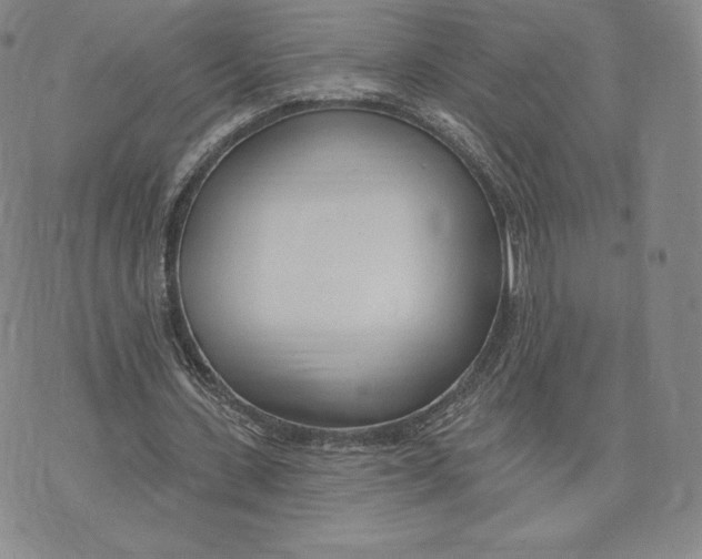 X0000072490531200608041418