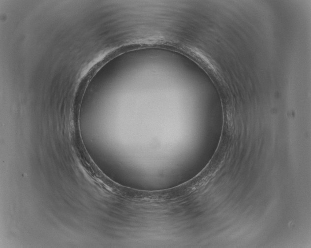 X0000072490532200608041418