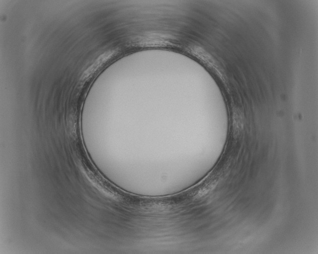 X0000072490533200608041418