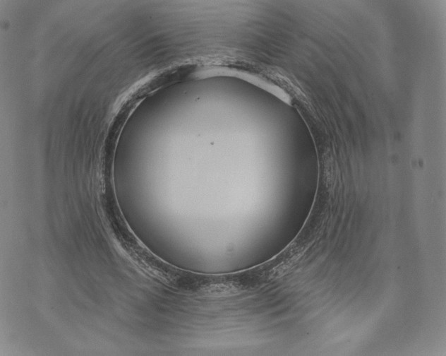 X0000072490536200608041418