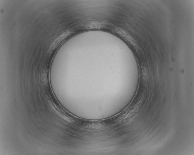 X0000072490537200608041418