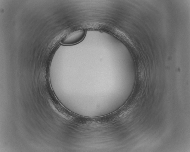 X0000072490538200608041418