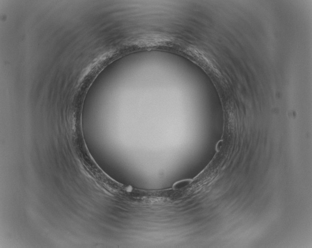 X0000072490539200608041418