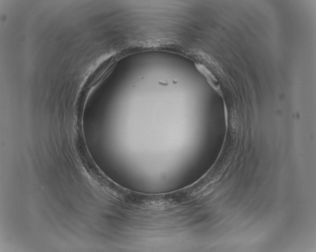 X0000072490540200608041418