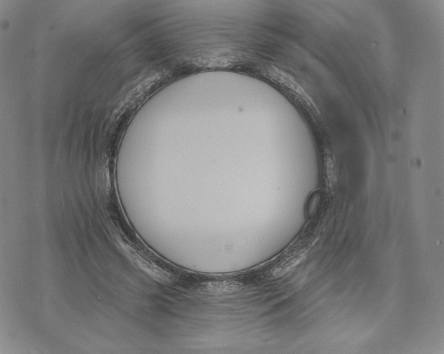 X0000072490541200608041418