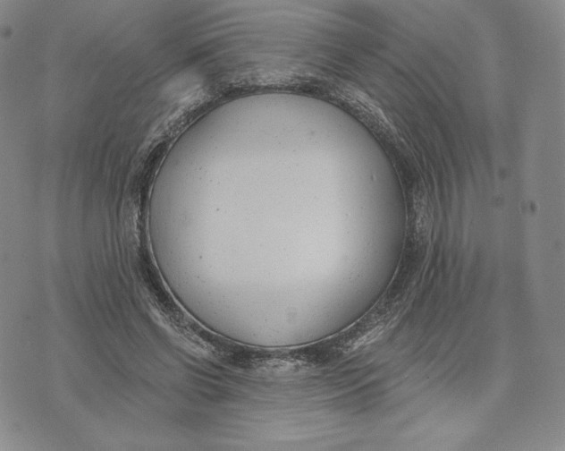 X0000072490542200608041418