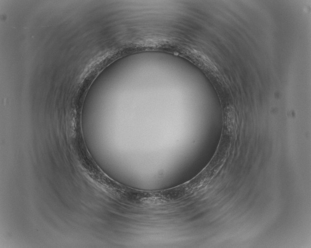 X0000072490544200608041418