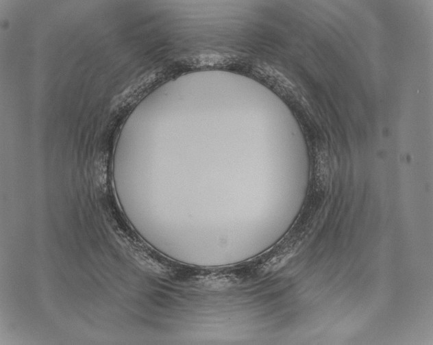 X0000072490545200608041418