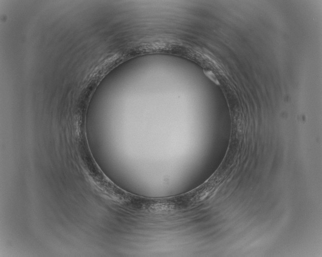 X0000072490546200608041418