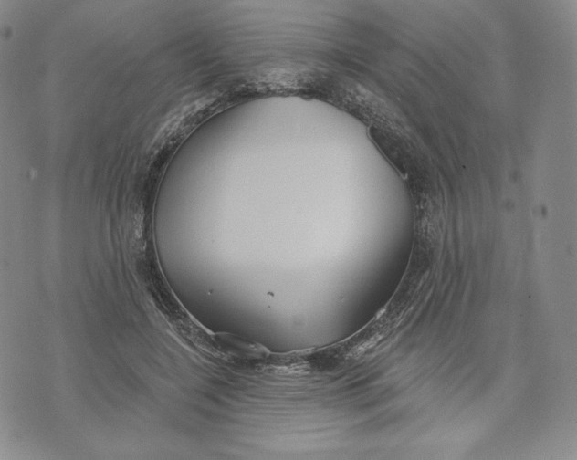 X0000072490548200608041418