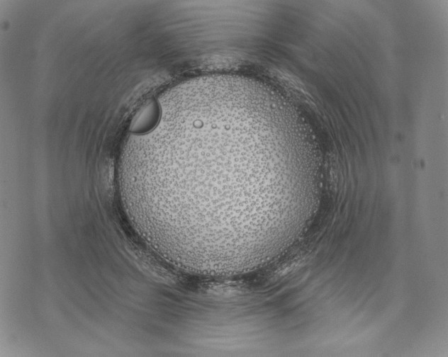 X0000072490550200608041419