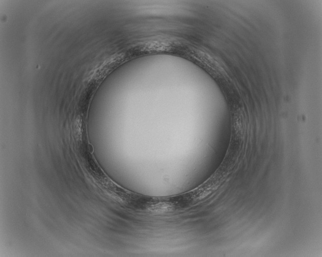 X0000072490551200608041419