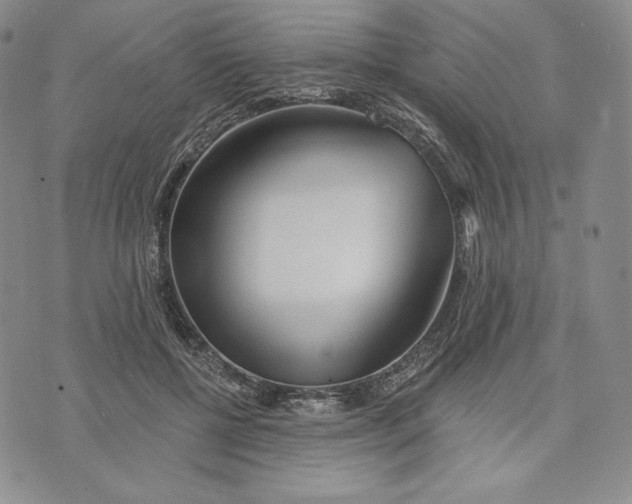 X0000072490552200608041419