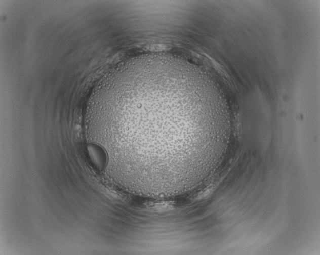 X0000072490553200608041419