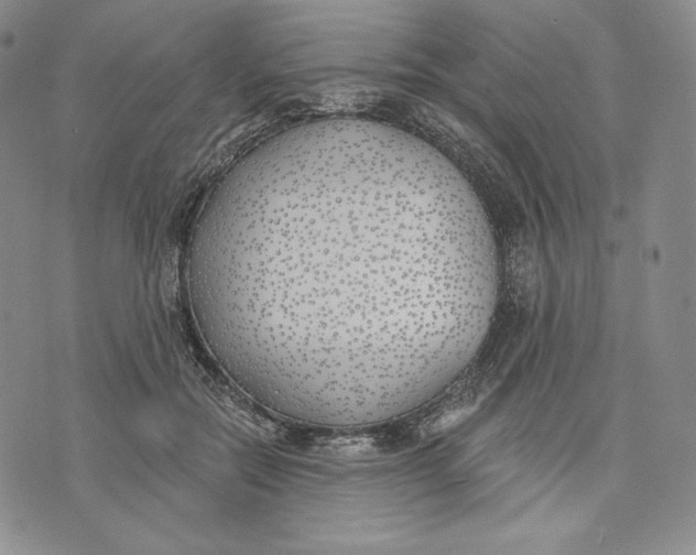 X0000072490554200608041419