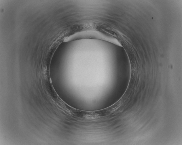 X0000072490556200608041419