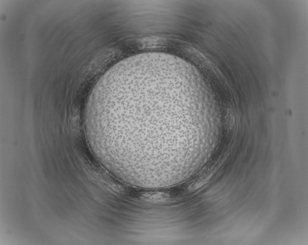 X0000072490557200608041419