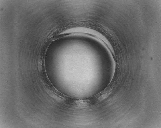 X0000072490558200608041419