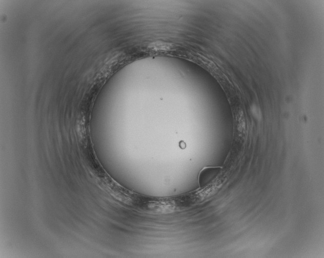 X0000072490559200608041419