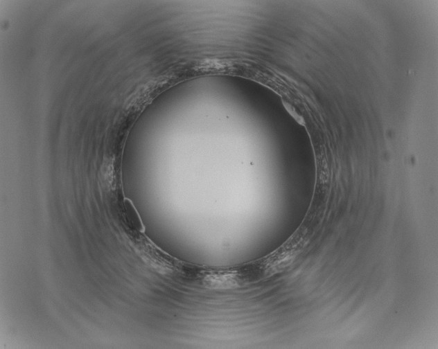 X0000072490560200608041419