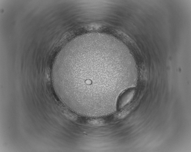 X0000072490561200608041419