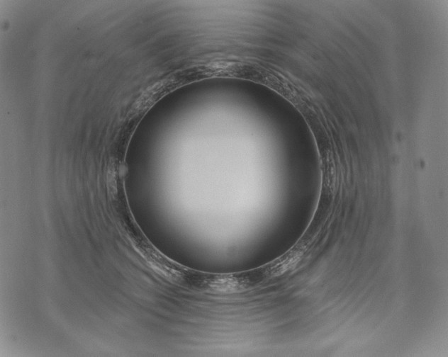 X0000072490562200608041419