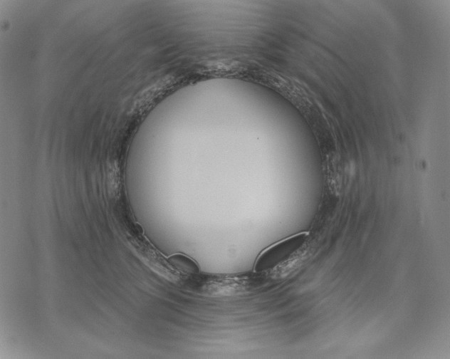 X0000072490563200608041419