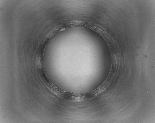 X0000072490564200608041419