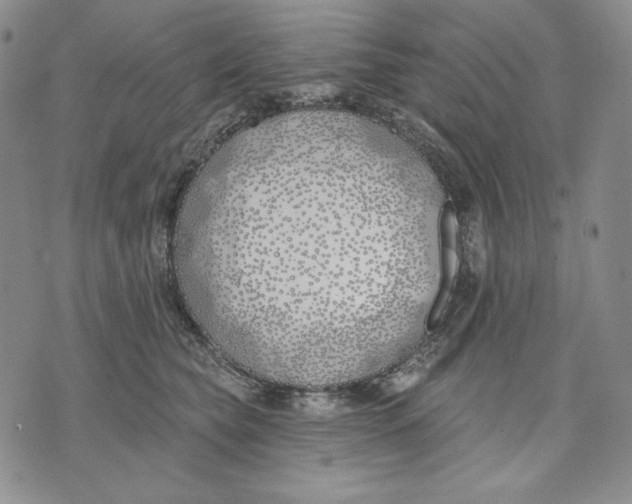 X0000072490565200608041419