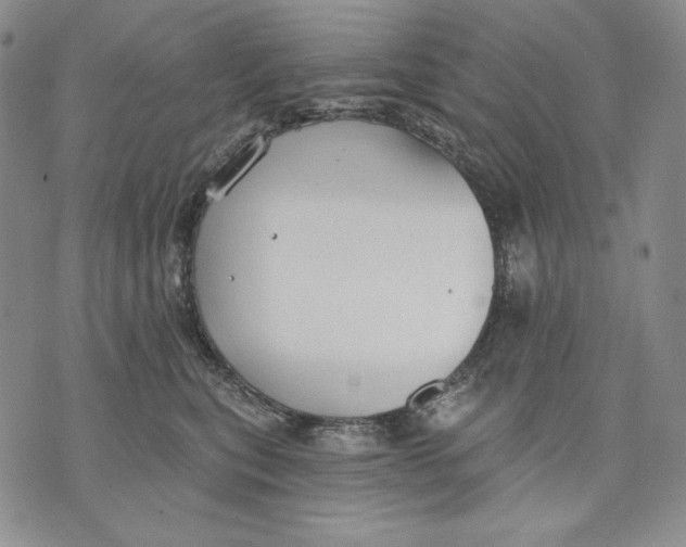 X0000072490567200608041419