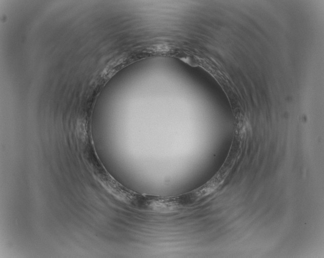 X0000072490568200608041419