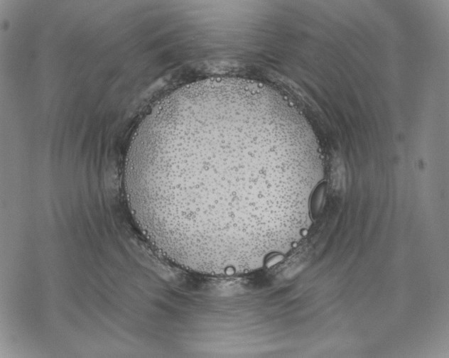 X0000072490569200608041419