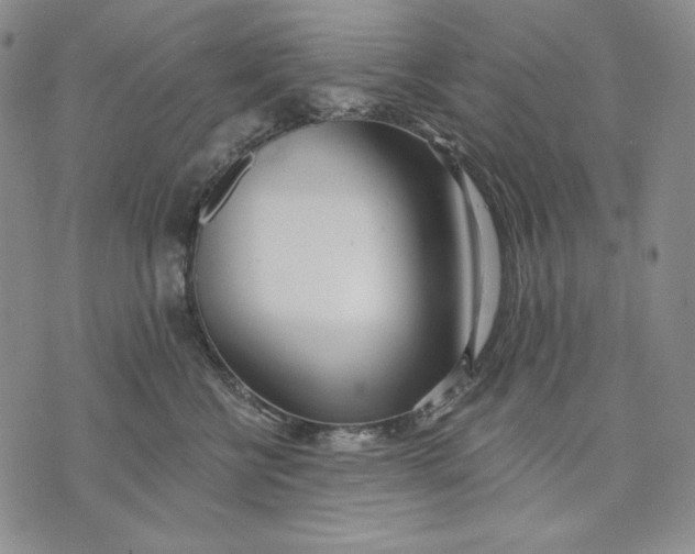 X0000072490570200608041419