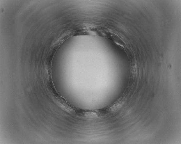 X0000072490572200608041419