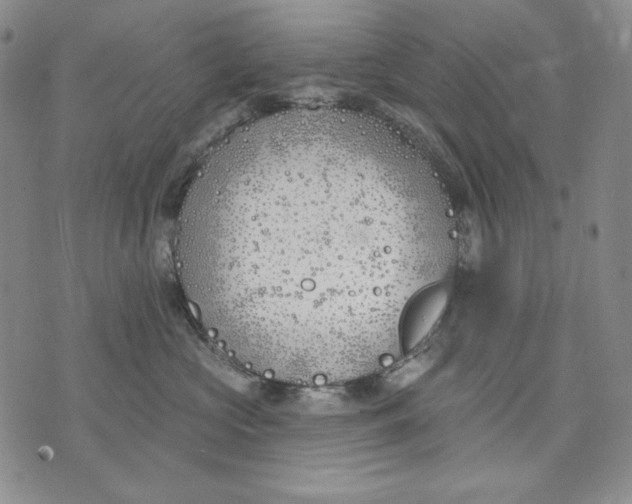 X0000072490573200608041419