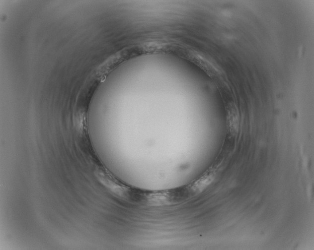 X0000072490574200608041419