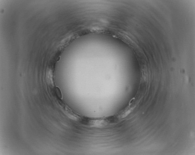 X0000072490575200608041419