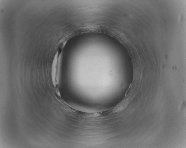 X0000072490576200608041419