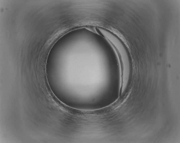 X0000072490577200608041418