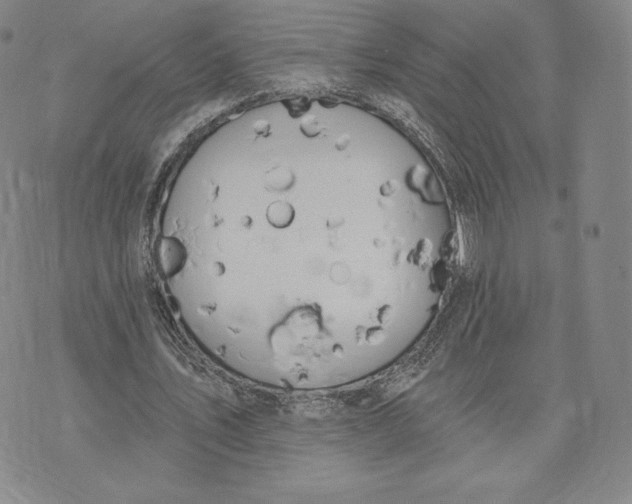 X0000072490579200608041418