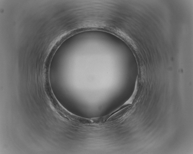 X0000072490580200608041418