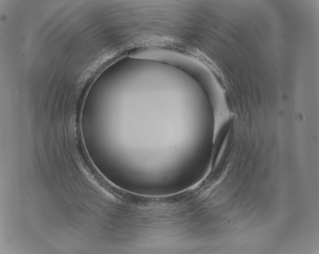 X0000072490581200608041418