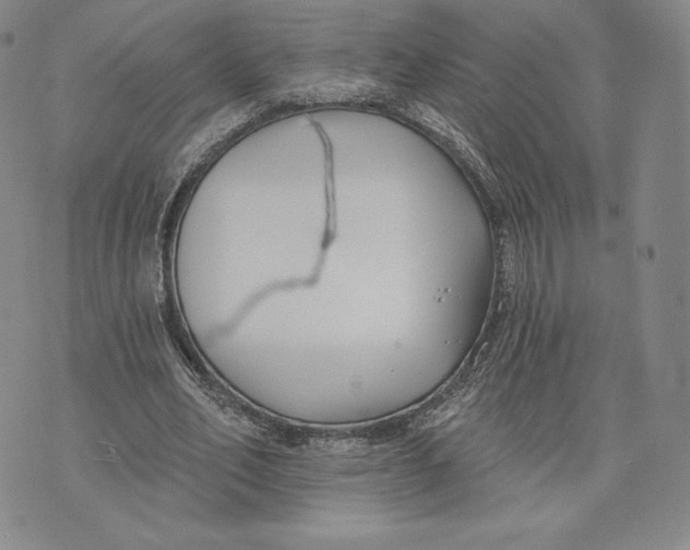 X0000072490582200608041418