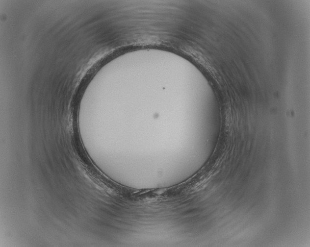 X0000072490584200608041418