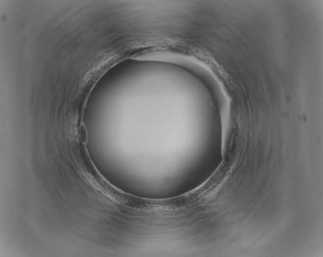 X0000072490585200608041418